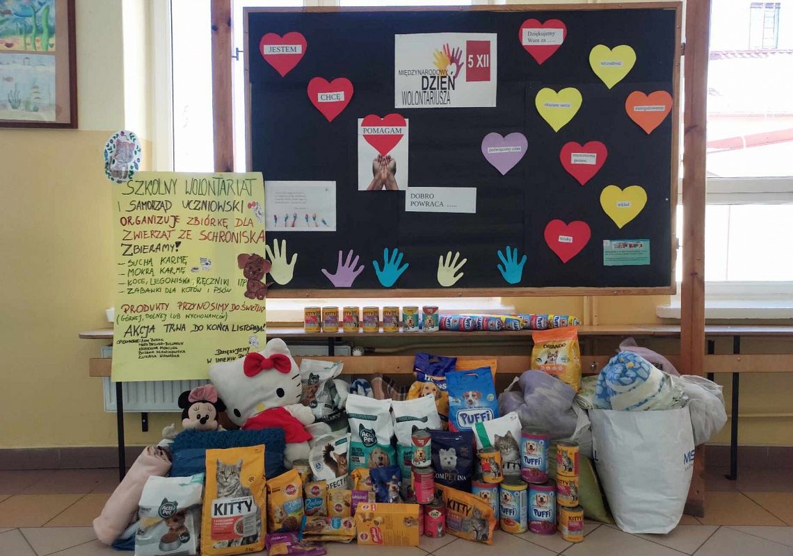 Grafika 1: Międzynarodowy Dzień Wolontariusza - przekazanie zebranych darów dla schroniska w Czarnej Dąbrówce
