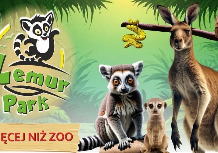 Grafika 1: Lemur Park w Rumi ogłosił wyniki Konkursu Plastycznego dla Szkół - mamy 2. miejsce!