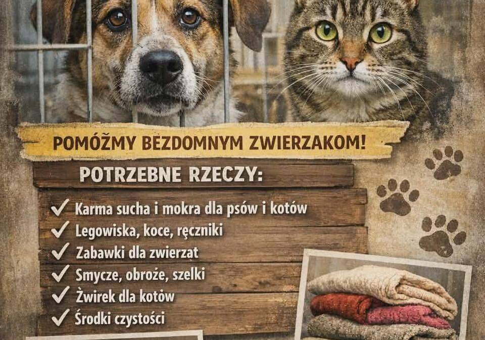 Grafika 1: Zbiórka darów dla schroniska dla zwierząt
