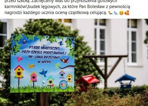 Grafika 1: Zbiórki w naszej szkole - weź udział w szlachetnych akcjach charytatywnych i ekologicznych