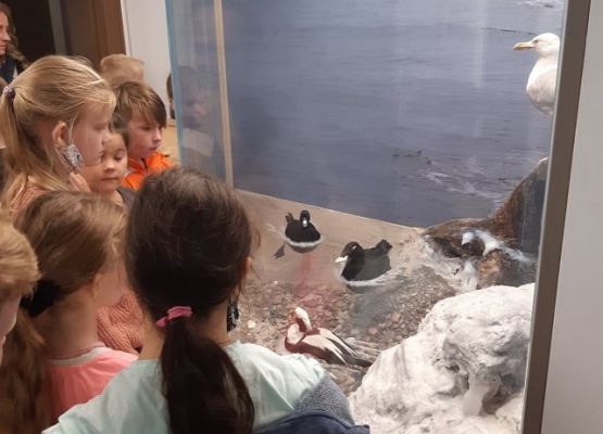 dzieci oglądają wystawę