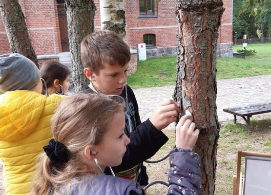 dzieci oglądają wystawę