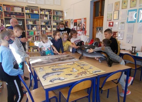 kl. IVB przygląda się, jak wygląda morświn