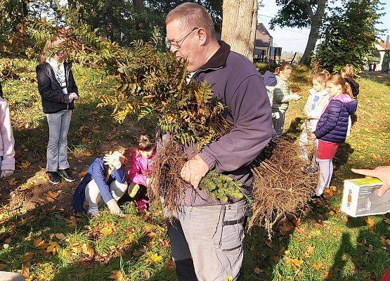 Pan konserwator z sadzonkami