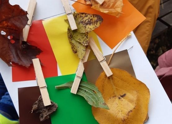 IIIB na jesiennych zajęciach 2