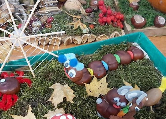 Prace jesiennego konkursu NWL 5