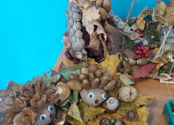 Prace jesiennego konkursu NWL 6