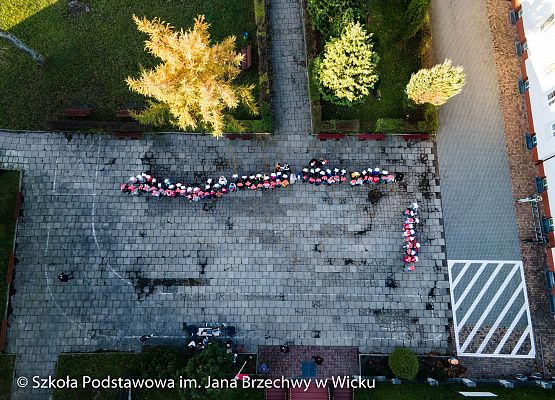 Grafika 16: Uroczystości związane z rocznicą 11 listopada