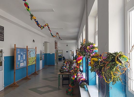 Grafika 1: W niedzielę nastąpi rozstrzygnięcie konkursu "na najdłuższą palmę"