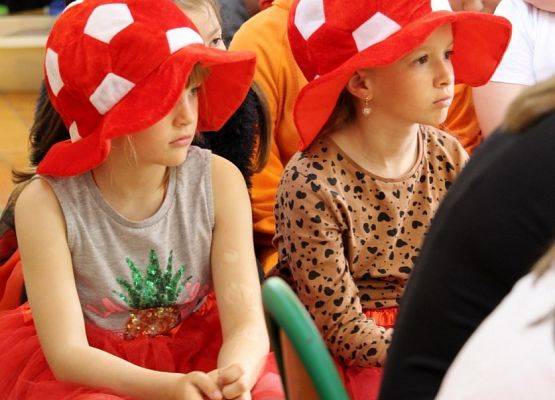 Grafika 13: Obchody Dnia Patrona, Dnia Dziecka i Dnia Sportu w szkole w Wicku