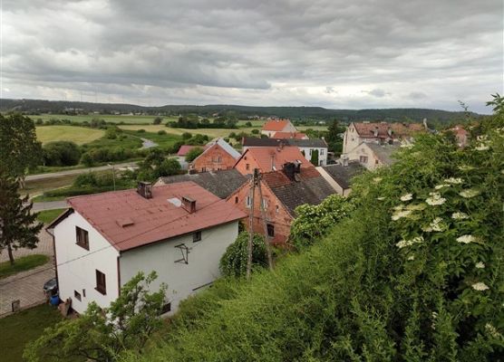 Grafika 73: Uczniowie z Wicka opanowali Gniew