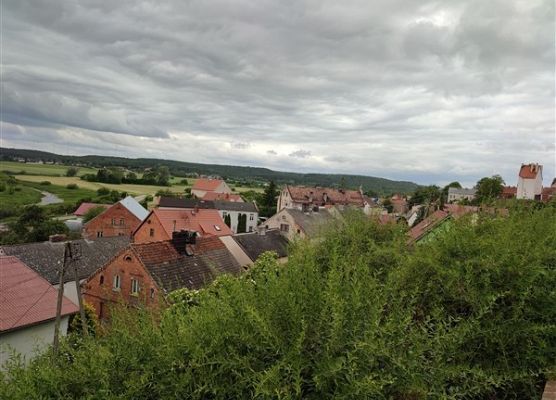 Grafika 74: Uczniowie z Wicka opanowali Gniew