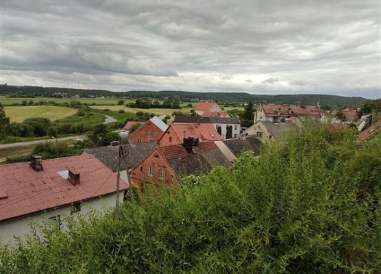 Grafika 75: Uczniowie z Wicka opanowali Gniew