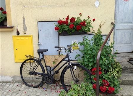 Grafika 99: Uczniowie z Wicka opanowali Gniew