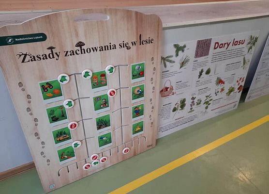 Grafika 2: Spotkanie z pracownikiem nadleśnictwa - edukacja leśna