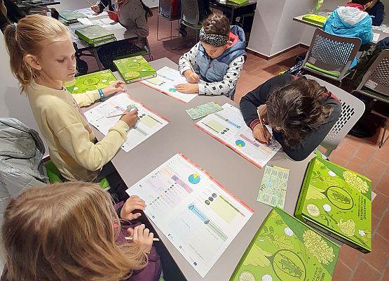 Grafika 4: Wizyta w Czołpinie