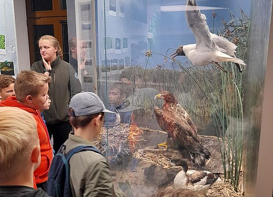 Grafika 6: Wizyta w Czołpinie