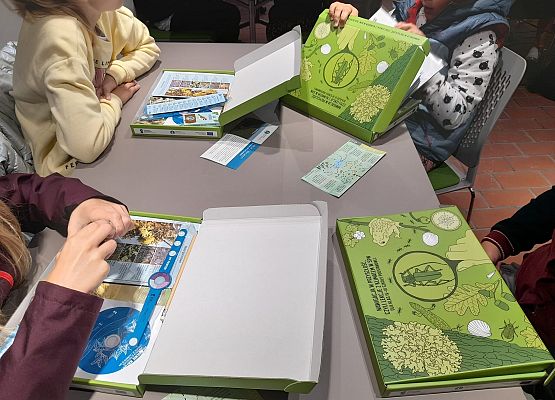 Grafika 5: Wizyta w Czołpinie