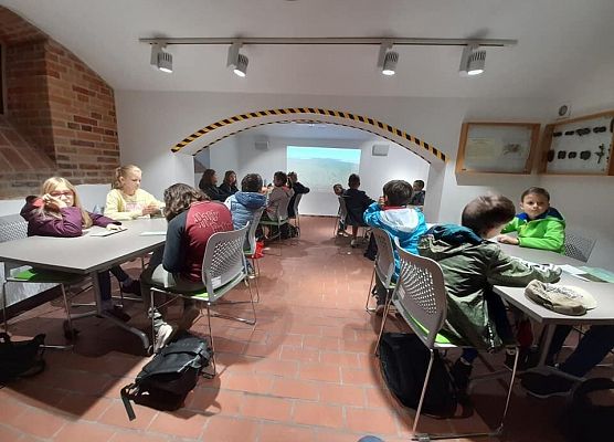 Grafika 8: Wizyta w Czołpinie