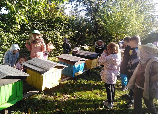 Grafika 10: Klasa II b oraz klasa III b z wizytą w pasiece