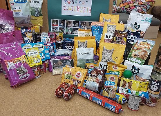 Grafika 2: Nasi wolontariusze nie przestają działać!