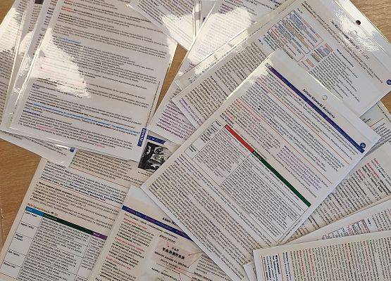 Grafika 11: Powtórki z lekturki – obowiązkowe!