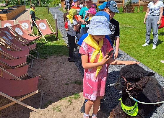 Grafika 4: Czerwcowa wycieczka kl. IA i IIIA do Costerina Park