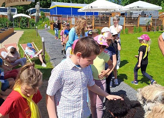 Grafika 8: Czerwcowa wycieczka kl. IA i IIIA do Costerina Park