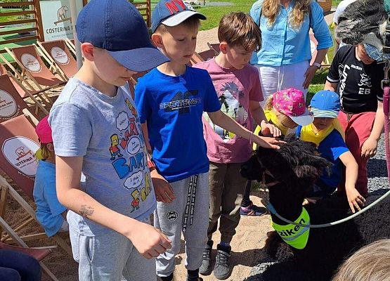 Grafika 14: Czerwcowa wycieczka kl. IA i IIIA do Costerina Park