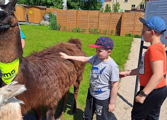 Grafika 20: Czerwcowa wycieczka kl. IA i IIIA do Costerina Park