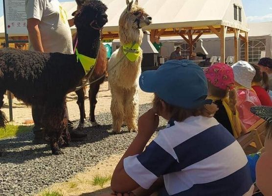 Grafika 37: Czerwcowa wycieczka kl. IA i IIIA do Costerina Park