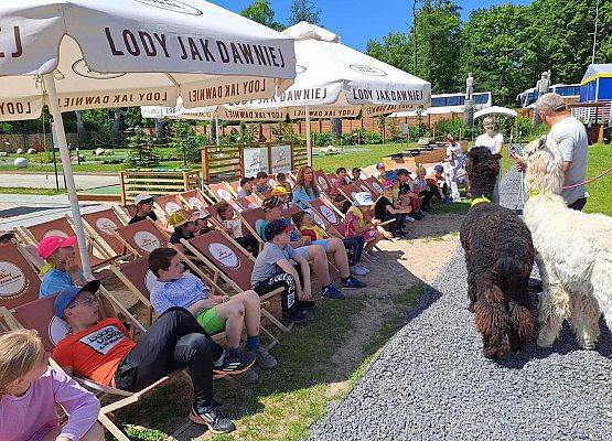 Grafika 41: Czerwcowa wycieczka kl. IA i IIIA do Costerina Park