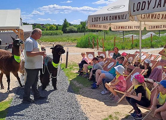 Grafika 47: Czerwcowa wycieczka kl. IA i IIIA do Costerina Park