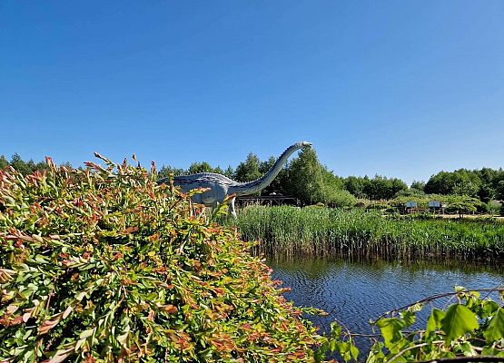 Grafika 2: Czerwcowa wycieczka kl. IIIB do Łeby