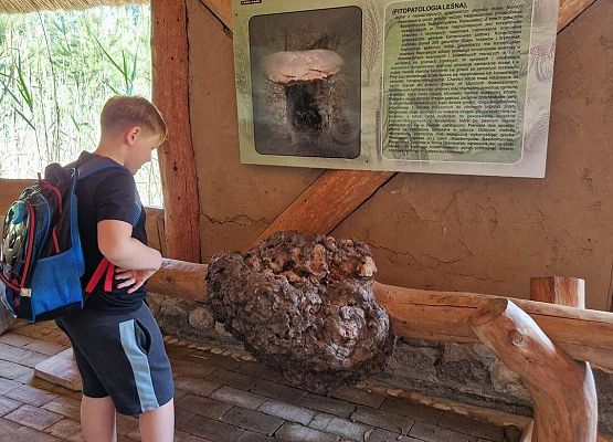 Grafika 16: Czerwcowa wycieczka kl. IIIB do Łeby