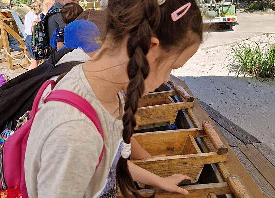 Grafika 61: Czerwcowa wycieczka kl. IIIB do Łeby