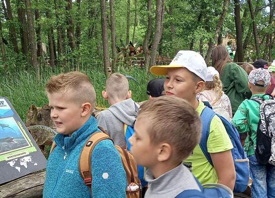 Grafika 45: Wycieczka klas drugich do Parku Ewolucji w Sławotówku