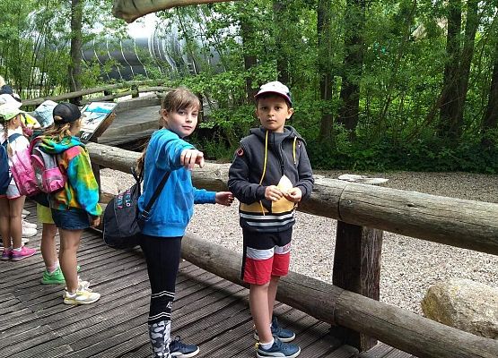 Grafika 59: Wycieczka klas drugich do Parku Ewolucji w Sławotówku