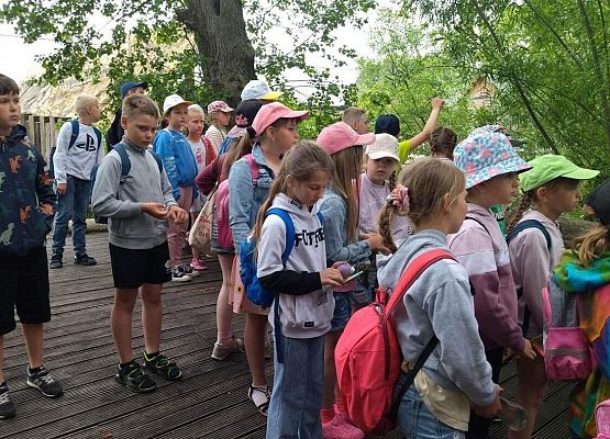 Grafika 72: Wycieczka klas drugich do Parku Ewolucji w Sławotówku
