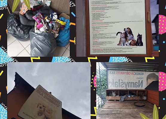 Grafika 2: Kolejny raz wsparliśmy czworonogi ze schroniska w Małoszycach