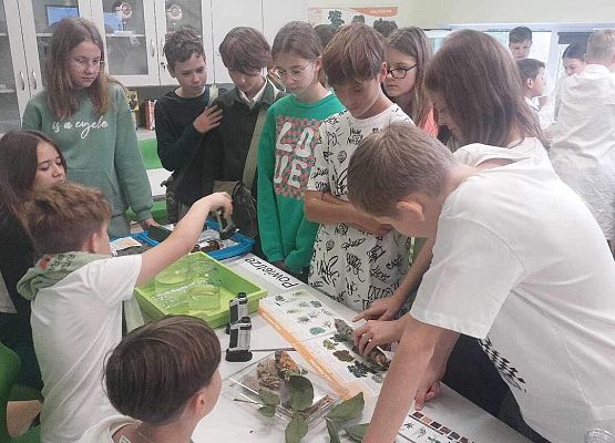 Grafika 16: Uroczyste otwarcie „Ekopracowni” przyrodniczej OZE w SP Wicko