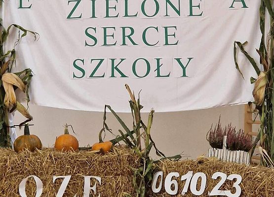 Grafika 37: Uroczyste otwarcie „Ekopracowni” przyrodniczej OZE w SP Wicko