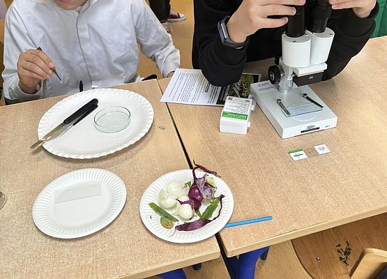 Grafika 63: Uroczyste otwarcie „Ekopracowni” przyrodniczej OZE w SP Wicko