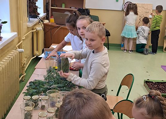 Grafika 89: Uroczyste otwarcie „Ekopracowni” przyrodniczej OZE w SP Wicko