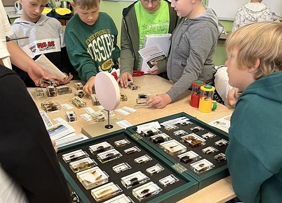 Grafika 91: Uroczyste otwarcie „Ekopracowni” przyrodniczej OZE w SP Wicko