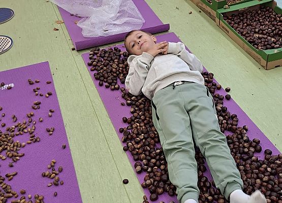 Grafika 103: Uroczyste otwarcie „Ekopracowni” przyrodniczej OZE w SP Wicko