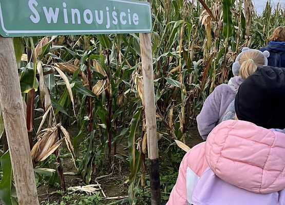 Grafika 2: Piesza wycieczka klas czwartych do Farmy Alexa