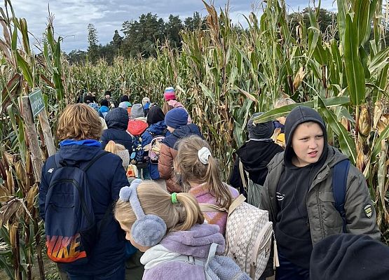 Grafika 8: Piesza wycieczka klas czwartych do Farmy Alexa