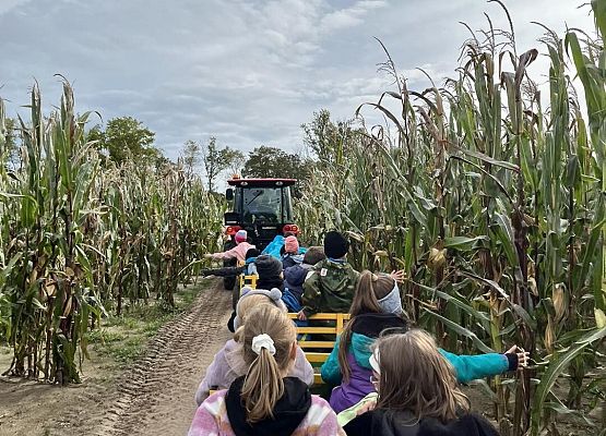 Grafika 21: Piesza wycieczka klas czwartych do Farmy Alexa