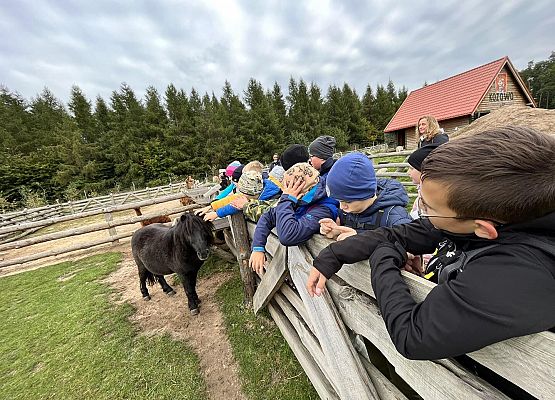 Grafika 23: Piesza wycieczka klas czwartych do Farmy Alexa